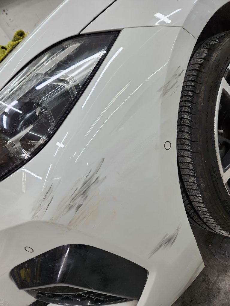 BMW 화이트 복원 전